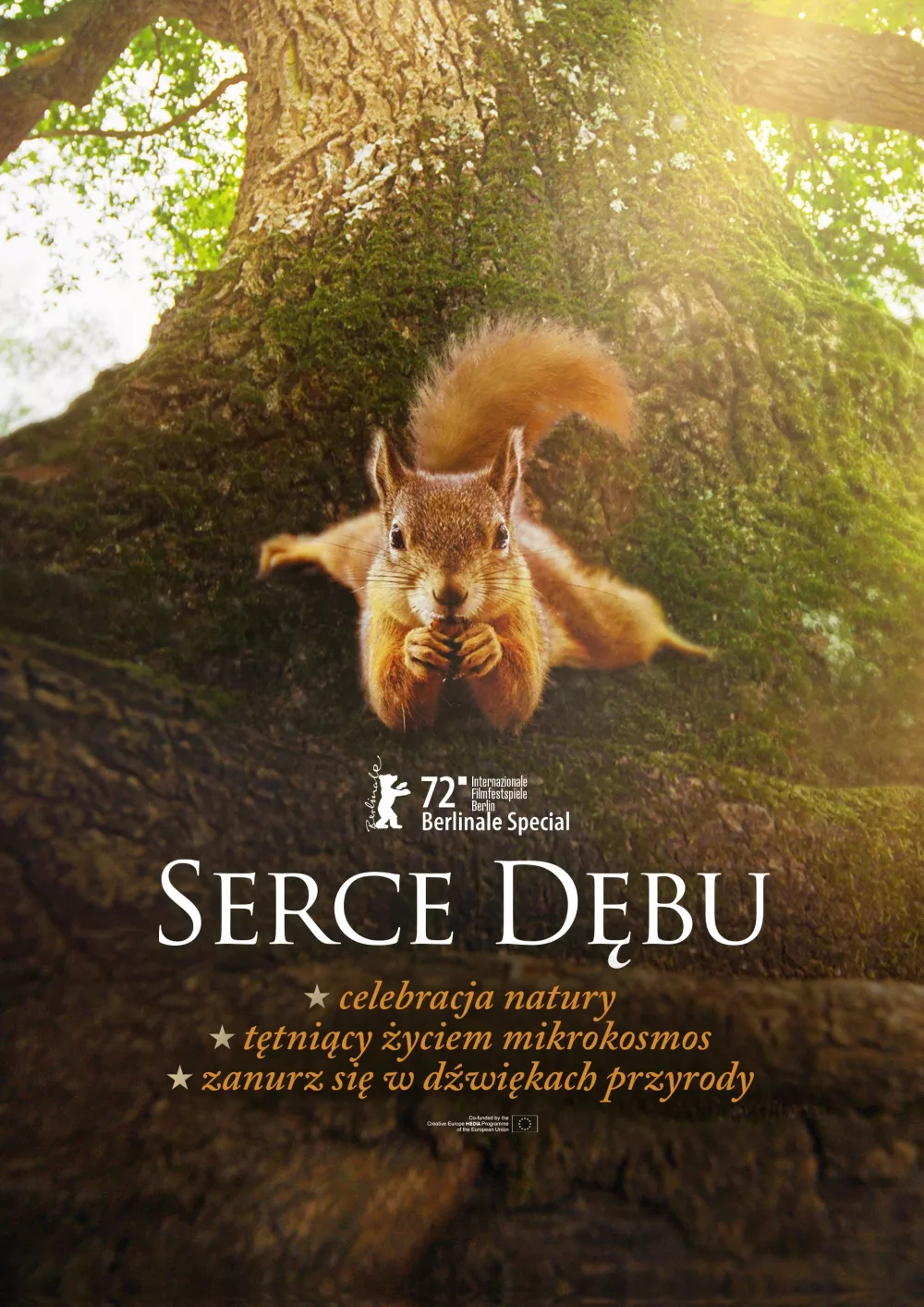 Serce dębu